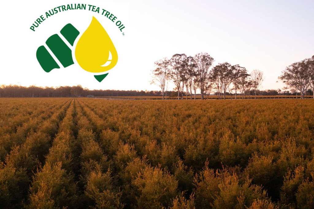 ATTIA Tea Tree